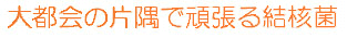 ��s��̕Ћ��Ŋ撣�錋�j��